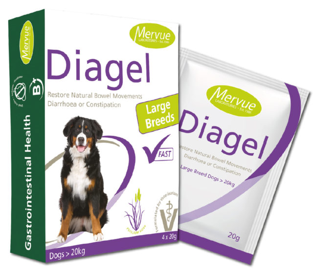 Diagel pro velké psy