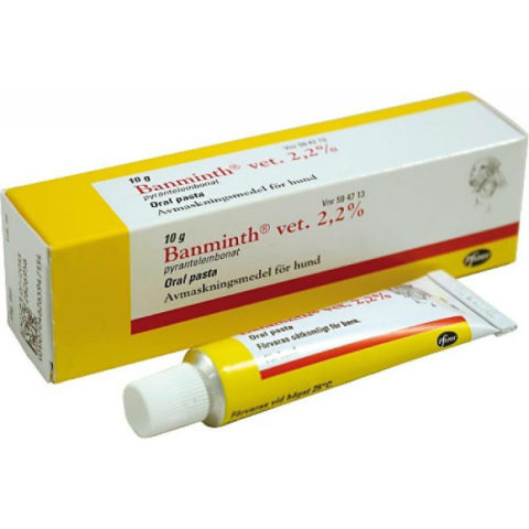 Banminth 21,61 mg/g perorální pasta