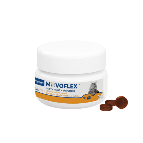 Movoflex Cat