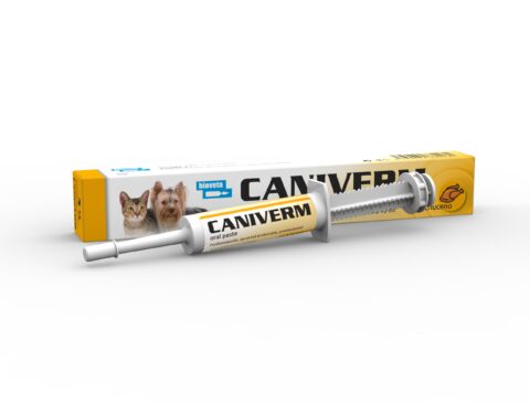 CANIVERM perorální pasta