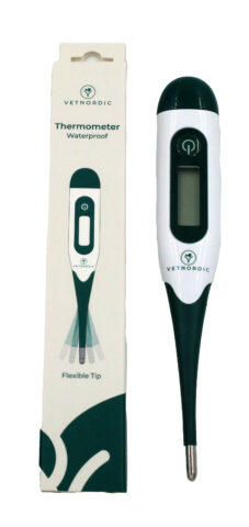 Digitální teploměr