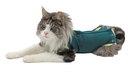 Obleček pro kočky, organická bavlna, zelený
